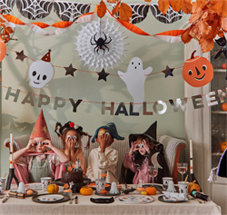 Meri Meri - Its Halloween! Party Garland - Cadılar Bayramı Asılan Süs