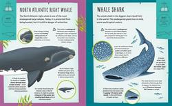 My Incredible Animal S.O.S Expedition