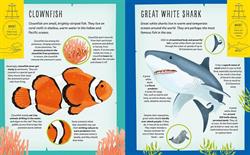 My Incredible Ocean Expedition