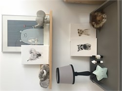 Suluboya Görünümlü Kanvas Baskı Tablo Rakun