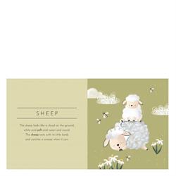 Touch And Feel - Animals