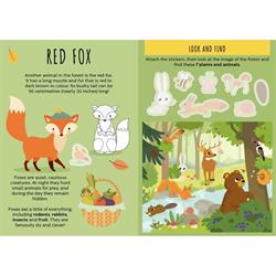 The Forest - Sticker And Activities