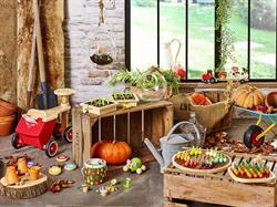 Vilac - Bahçıvan El Arabası