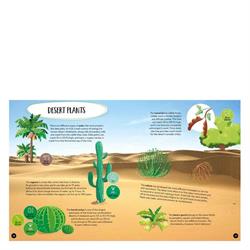 What- How- Why - Earth