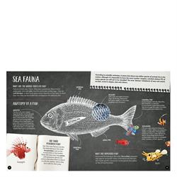 What- How- Why - The Sea