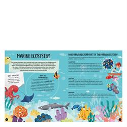 What- How- Why - The Sea