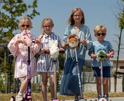 Scooter Aksesuarı, Ayı