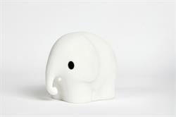 Elephant Lamba First Light