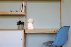 Rena Lamba First Light