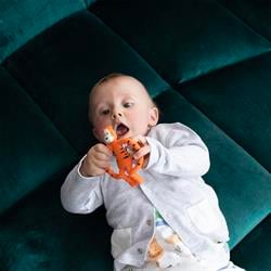 Matchstick Monkey Silikon Diş Kaşıyıcı, Teddy Tiger