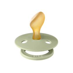 BİBS Colour Anatomical Emzik,Sage