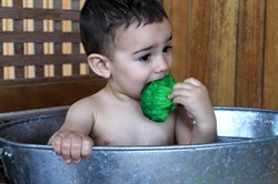 Brucy Brokoli  Diş Kaşıyıcı Oyuncak