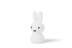 Aydınlatma, Miffy Shines
