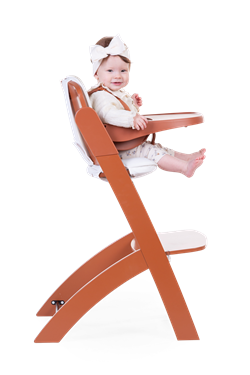 Evosit Mama Sandalyesi, Rust