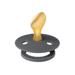 BİBS Colour Anatomical Emzik (6-18 ay) Iron