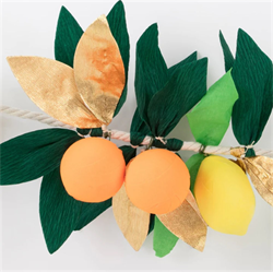 Meri Meri - Citrus Fruti Garland - Turunçgiller Meyve Asılan Süs