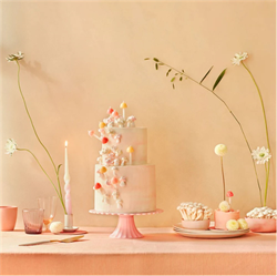 Meri Meri - Mushroom Birthday Candles - Mantar Doğum Günü Mumları - 6Lı