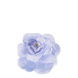 Meri Meri - Rose Garden Napkins - Gül Bahçesi Peçeteler - 16lı