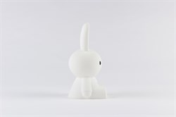 Mini Miffy Lamba
