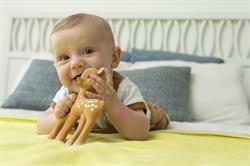 Sophie la Girafe, Fanfan