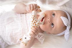 Sophie la Girafe, Zürafa Sophie diş kaşıyıcı