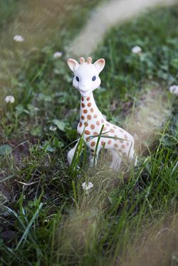 Sophie la Girafe, Zürafa Sophie diş kaşıyıcı