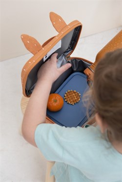 Trixie Beslenme Çantası, Mr. Fox