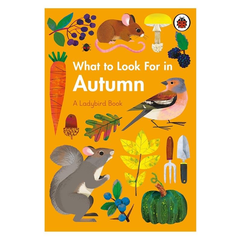 WHAT TO LOOK FOR IN AUTUMN