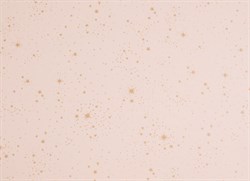 Nobodinoz Duvar Kağıdı Gold Stella/Dream Pink