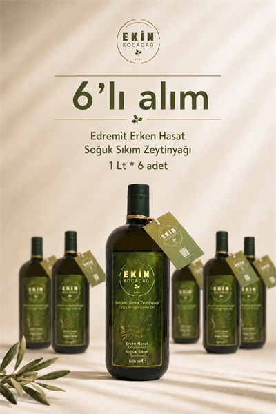 Ödüllü Edremit Erken Hasat Soğuk Sıkım Lezzet Paketi (6 x 1L)