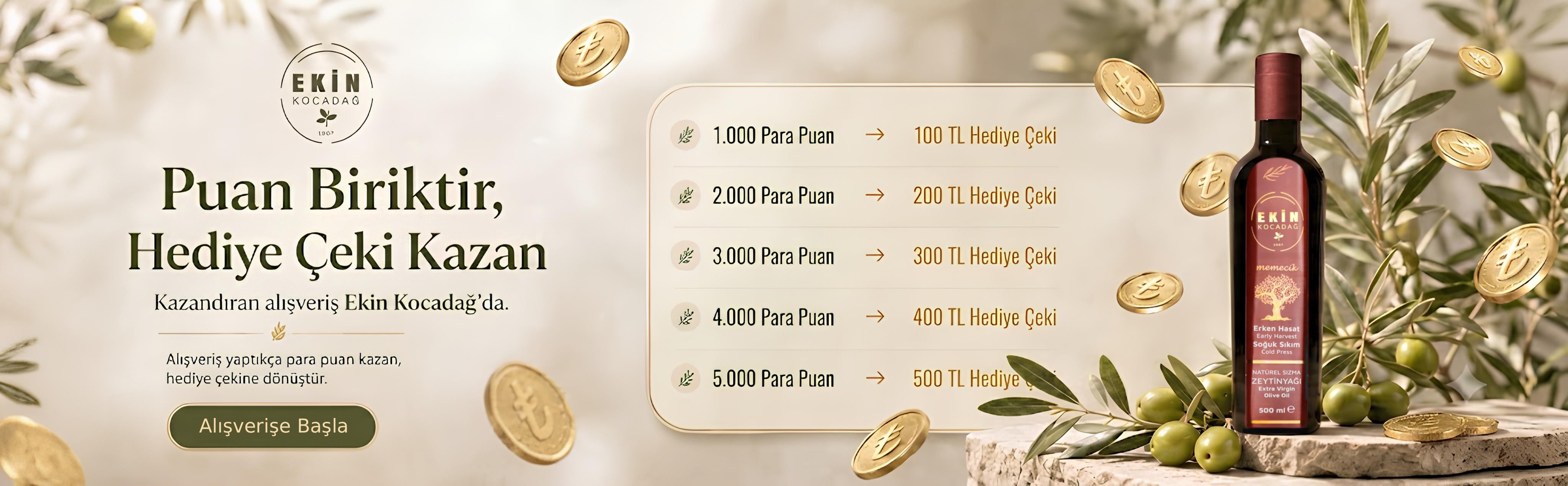 Para Puan
