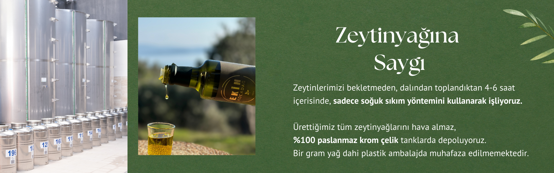 Zeytinyağına Saygı