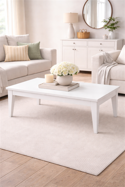 Alberohome Modern Orta Sehpa 120x70 cm – Şık ve Dayanıklı Tasarım