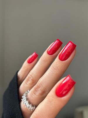 All in One Yeni Nesil Kalıcı Oje Uv Gel Polish 203