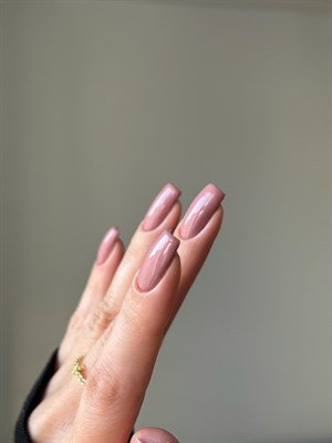 All in One Yeni Nesil Kalıcı Oje Uv Gel Polish 509