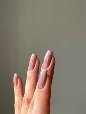 All in One Yeni Nesil Kalıcı Oje Uv Gel Polish 556