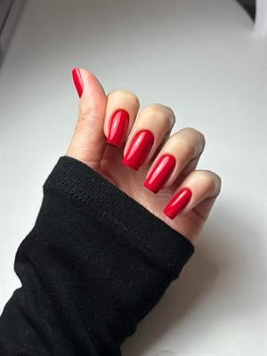 All in One Yeni Nesil Kalıcı Oje Uv Gel Polish 203