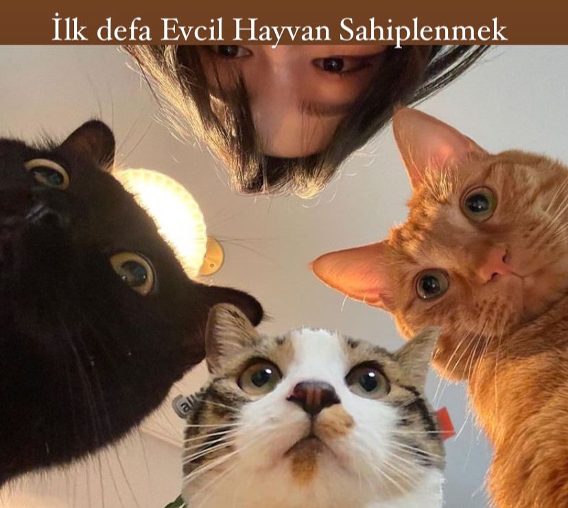 İlk Defa Evcil Hayvan Beslemek