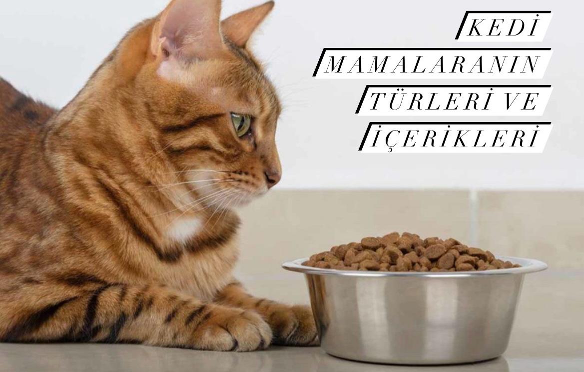 Kedi Mamalarının Türleri ve İçerikleri