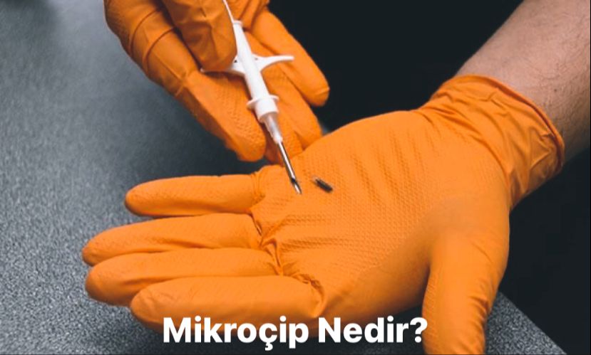 Mikroçip Nedir, Ne İçin Kullanılır