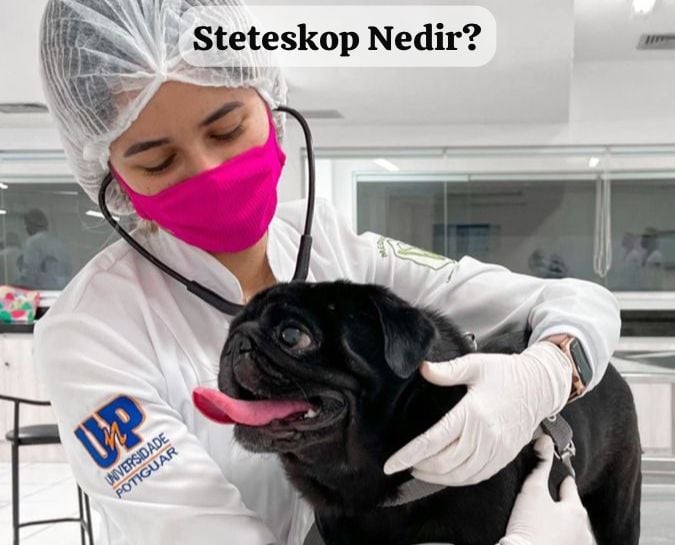 STETESKOP NEDİR?