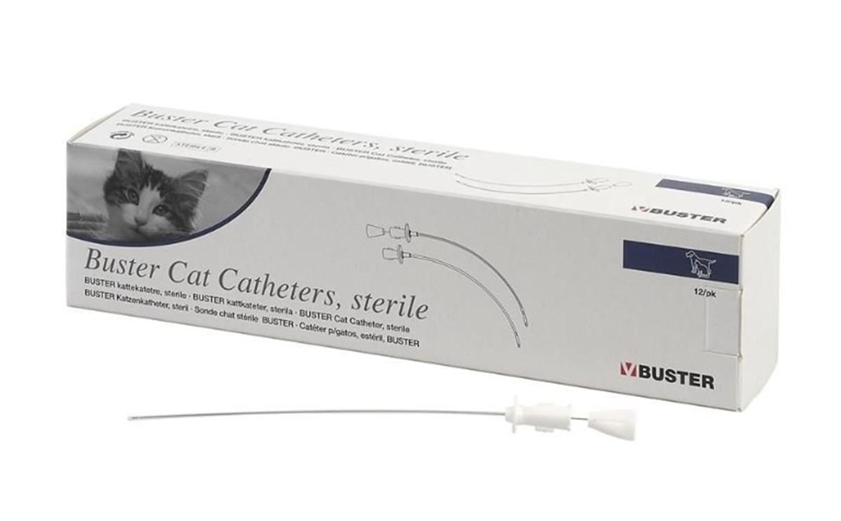 BUSTER Steril Kedi İdrar Sondası. 1.3x130 mm