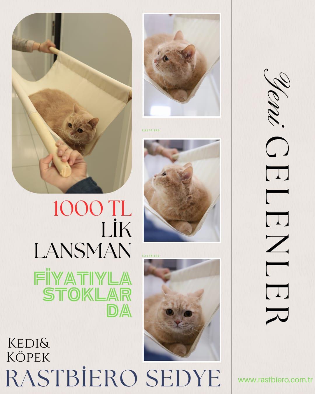 Kedi Köpek Taşıma Sedyesi