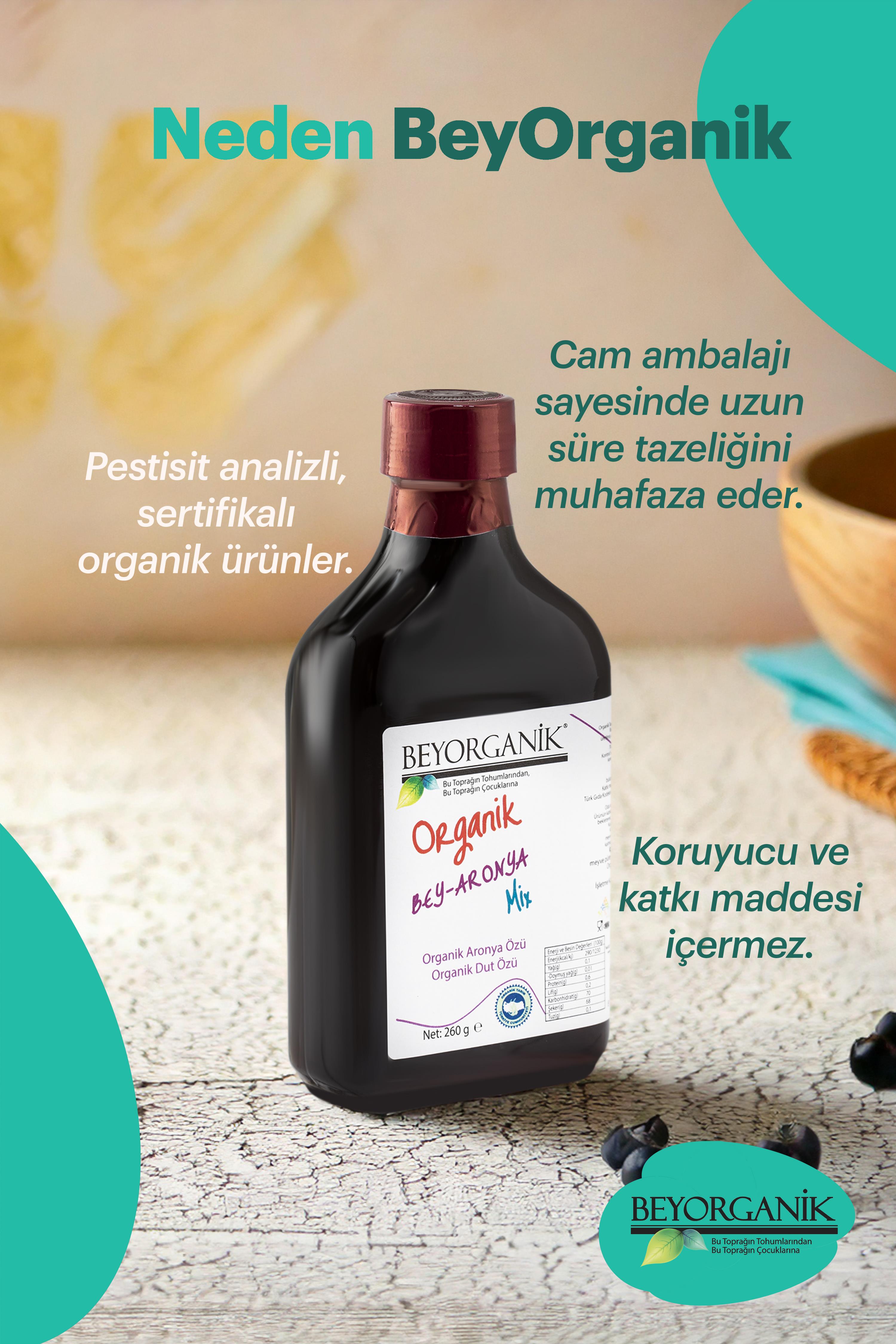 Organik BEY ARONYA Mix 260gr Gerçek Meyve Parçacıklı      (PESTİSİT VE AĞIR METAL ANALİZLİ)   