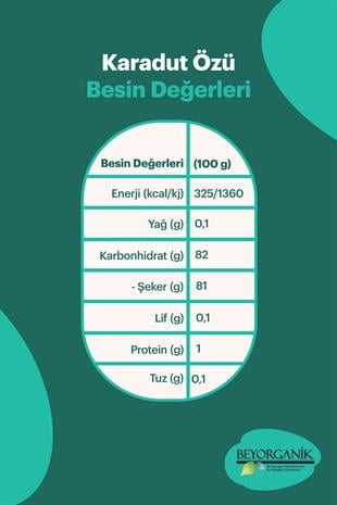 BEYGURME Karadut Özü 680gr