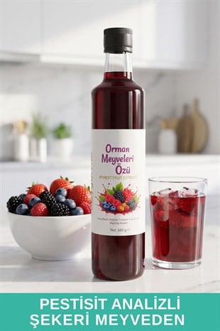 Orman Meyveleri Özü 680gr