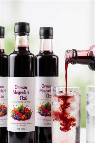Beygurme Orman Meyveleri Özü 680gr