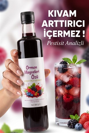 Beygurme Orman Meyveleri Özü 680gr