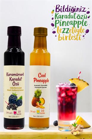 Serin Yaz Ikilisi Cool Pineapple & Karamürverli Karadut Özü (Eşit oranda karıştır şeker ilavesiz)