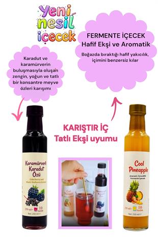 Serin Yaz Ikilisi Cool Pineapple & Karamürverli Karadut Özü (Eşit oranda karıştır şeker ilavesiz)